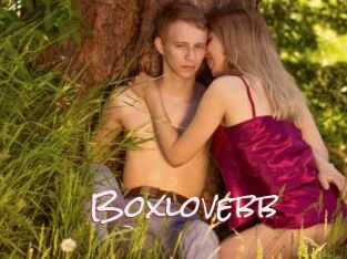 Boxlovebb