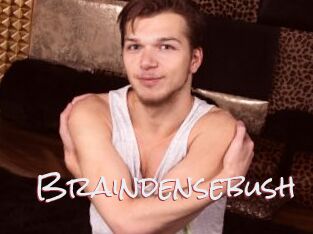 Braindensebush