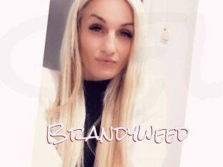 Brandyweed
