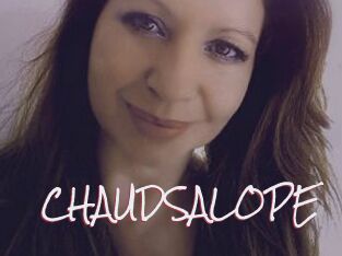 CHAUDSALOPE