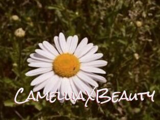 Camellia_XBeauty