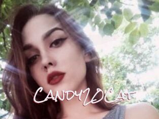 Candy20Cat