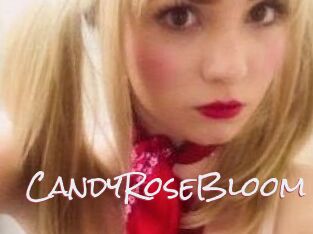 CandyRoseBloom