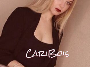 CariBois
