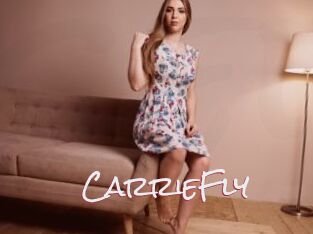 CarrieFly