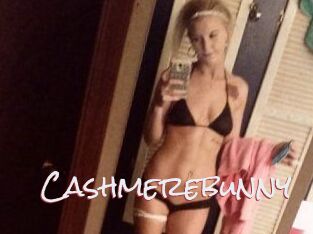 Cashmerebunny