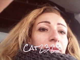 Cat2323