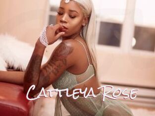 Cattleya_Rose