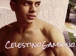 CelestinoGambino