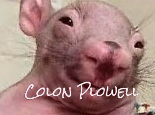 Colon_Plowell