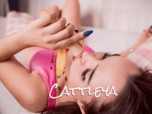 _Cattleya