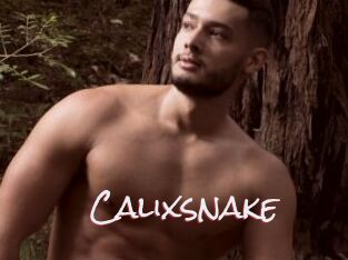 Calixsnake