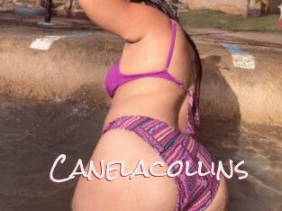 Canelacollins