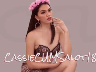 CassieCUMSalot18