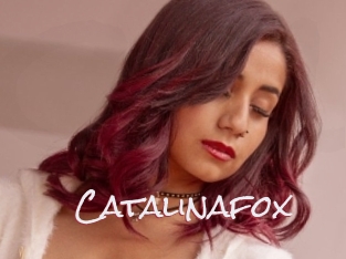 Catalinafox