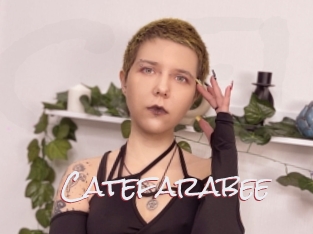 Catefarabee
