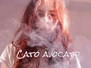 Cato_avocato