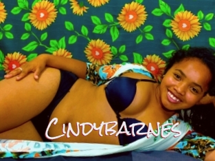 Cindybarnes