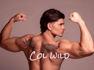 col_wild Celiba Club