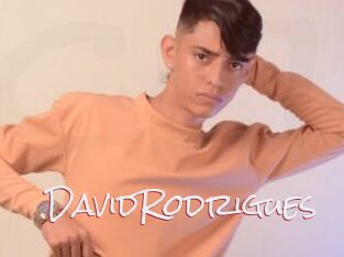 DavidRodrigues