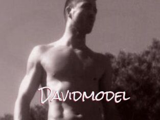 Davidmodel