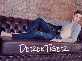 DerekTiger