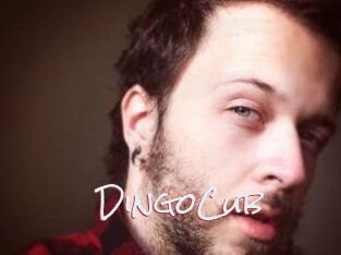 DingoCub