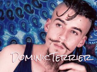 DominicTerrier