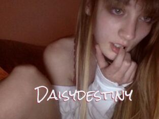 Daisydestiny
