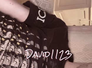 David1123