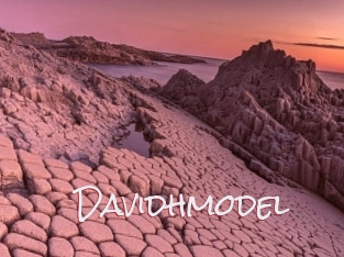 Davidhmodel