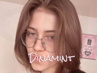 Dinamint