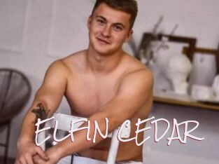 ELFIN_CEDAR
