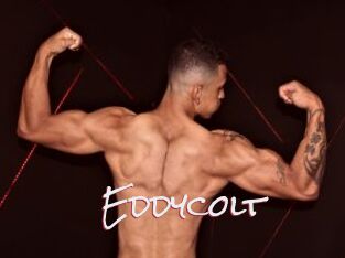 Eddycolt