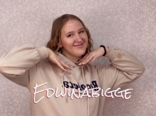 Edwinabigge