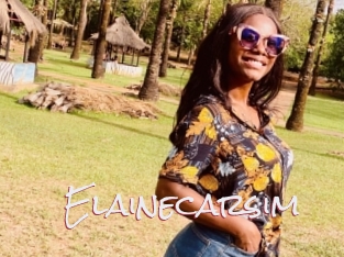Elainecarsim