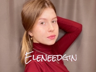 Eleneedgin