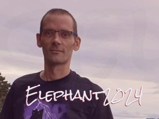 Elephant2024