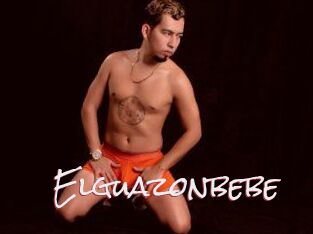 Elguazonbebe