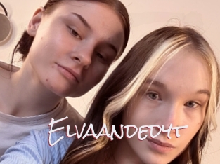 Elvaandedyt