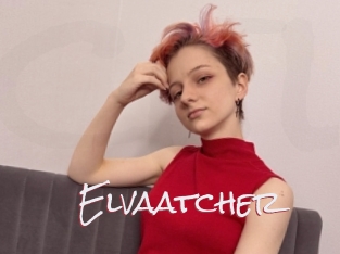 Elvaatcher