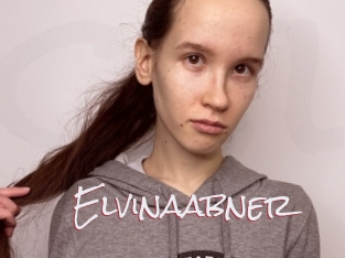 Elvinaabner