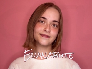 Elvinabute