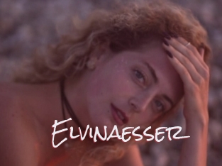 Elvinaesser