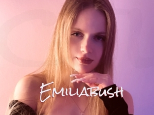 Emiliabush