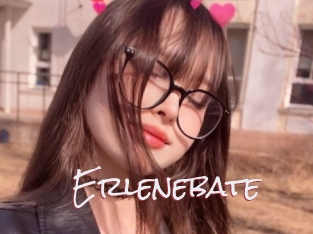 Erlenebate