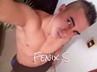 Fenix_S