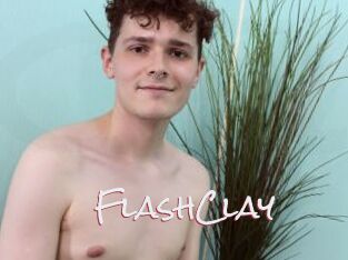 FlashClay