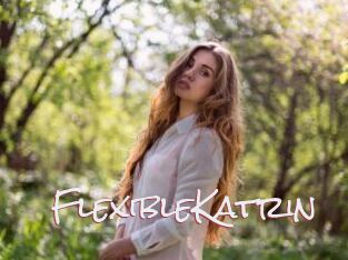 FlexibleKatrin