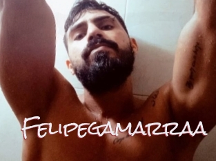 Felipegamarraa